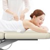 Dolonm Commercial Massage Table 31.5" Wide w/Storage & 700LBS Capacity - Fixed Backrest Salon Spa Bed - 2 of 4