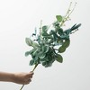 Sullivans Artificial 28" Eucalyptus & Foliage Spray, Blue-Green - 3 of 3