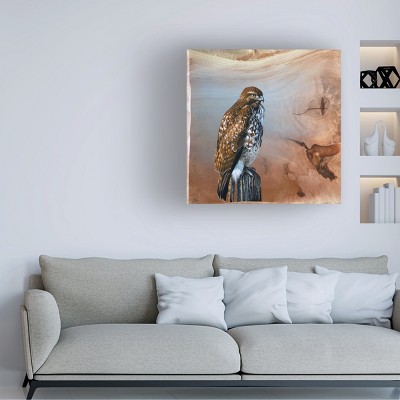 Trademark Fine Art -Jim Brune 'Redtail Hawk' Canvas Art