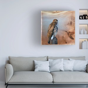 Trademark Fine Art -Jim Brune 'Redtail Hawk' Canvas Art - 1 of 4
