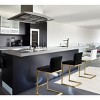 Parma Performance Vegan Leather and Gold Stainless Steel Counter Stool - Set of 2 Black  15.8"W x 20"D x 36.2"H - 2 of 4