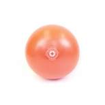 Stott Pilates Mini Stability Ball - Orange L (30cm)