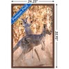 Trends International The Comedy Wildlife Photography Awards: Lara Mathews - Boing Framed Wall Poster Prints - 3 of 4