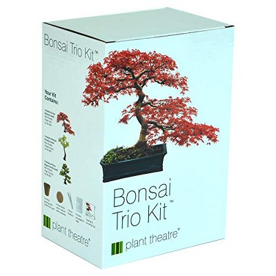 Plant Theatre Bonsai Trio Kit - Plant Seed Kit - 3 Distinctive Bonsai Trees to Grow - Everything You Need to Start Growing in one Box!