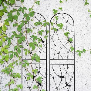 MAYEERTY 2 Pack Metal Garden Trellis 86.7 x 19.7 Inch Rustproof Climbing Plants Support Dragonfly Deco Black Outdoor Flower - 1 of 4