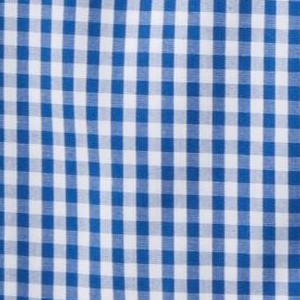 navy gingham