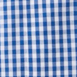 navy gingham