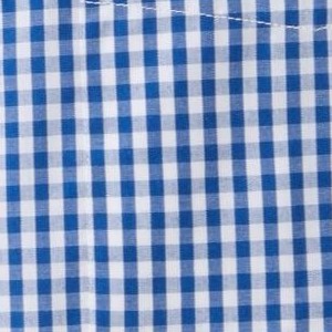 navy gingham