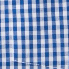 navy gingham