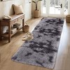 Acekool Ultra Soft Shaggy Rug, Non-Slip Plush Indoor Carpet, Tie-Dye & Solid Colors for Living Room, Bedroom – Multiple Sizes - 2 of 4