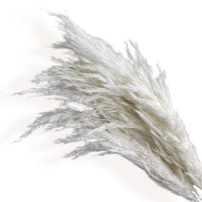 Alilang Decorative Dried Tall Grass Stems for Home Decoration and Floral Arrangements, 27.5 Inches