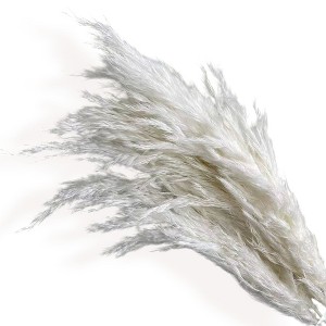 Alilang Decorative Dried Tall Grass Stems for Home Decoration and Floral Arrangements, 27.5 Inches - 1 of 4