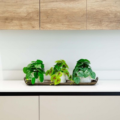 Set of Three 8-inch Green and White Plastic Potted Plants
