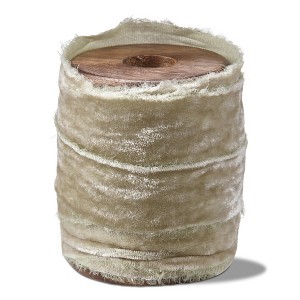 tagltd Velvet Ribbon Spool 20Mm/5Yd - 1 of 2