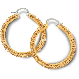Pavilion Gift Company - Gold Crystal  - Crystal Hoop Earrings - Earrings - 1 of 2