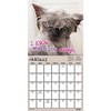DateWorks 12"x12" 2026 Snarcatstic Cats Wall Calendar - 2 of 4