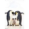 Trends International A Group Of Emperor Penguins Unframed Wall Poster Prints - 4 of 4
