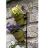 Tierra Garden Tall Wall Plant Holder : Target