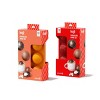 Koji Set/2 Holiday Chocolate Mold : Target