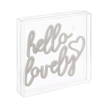 10" Hello Lovely Square Contemporary Glam Acrylic Box USB Operated LED Neon Light Pink - JONATHAN Y
