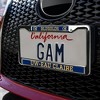 University of Wisconsin-Eau Claire Mascot Full Size Standard License Plate Metal Frame - 3 of 4