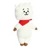 Aurora Large RJ BT21 Lovable Stuffed Doll White 13" - 2 of 4