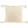 Northlight 17" Beige and Black Striped Square Throw Pillow with Tassels - 4 of 4