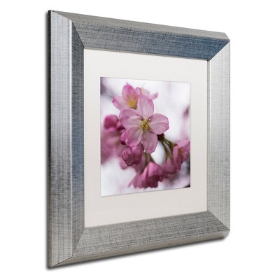 Trademark Fine Art -Kurt Shaffer 'Cherry Pink' Matted Framed Art