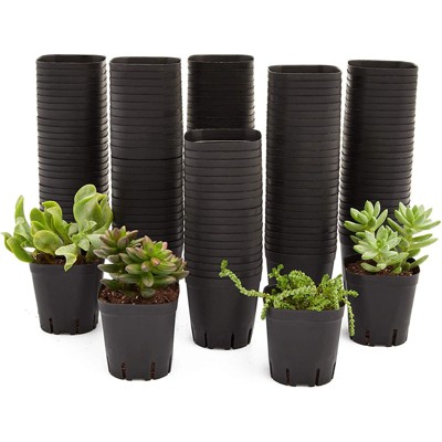 Juvale 150 Pack Small Plastic Planters Pots for Plants, Seedlings, Square Plant Pots, 2.6 In