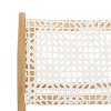 Bandelier Accent Chair - ACH1000 - Safavieh - 4 of 4