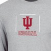 NCAA Indiana Hoosiers Men's Gray Long Sleeve T-Shirt - 3 of 3