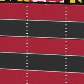 maryland terrapins