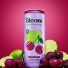 Bloom Cherry Lime Energy Drink - 12 fl oz Can - 3 of 4