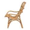 bali & pari Earvin Modern Bohemian Natural Brown Rattan Armchair - 4 of 4