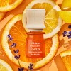 Essential Oil Blend - Citrus Grove: Focus - Lifelines: Precision Pump™, Aromatherapy Diffuser-Compatible, 0.25oz - 4 of 4