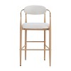 Gulches Beige Dining Chair Set of 2 with Natural Wood and Iron Legs - 4 of 4