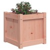 vidaXL Garden Planters Decorative Outdoor Flower Box - Solid Wood Douglas - 15.7" x 15.7" - 4 of 4