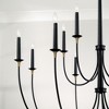 Capital Lighting Amara 12 - Light Chandelier in  Matte Black/Brass - 3 of 4