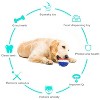 Cesicia Pet Supplies Vocal Dog Toy Leaking Food Ball, Yellow&Blue - 3 of 4