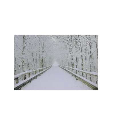 Northlight Small  Fiber Optic Lighted Winter Wooden Bridge Canvas Wall Art 12" x 15.75"