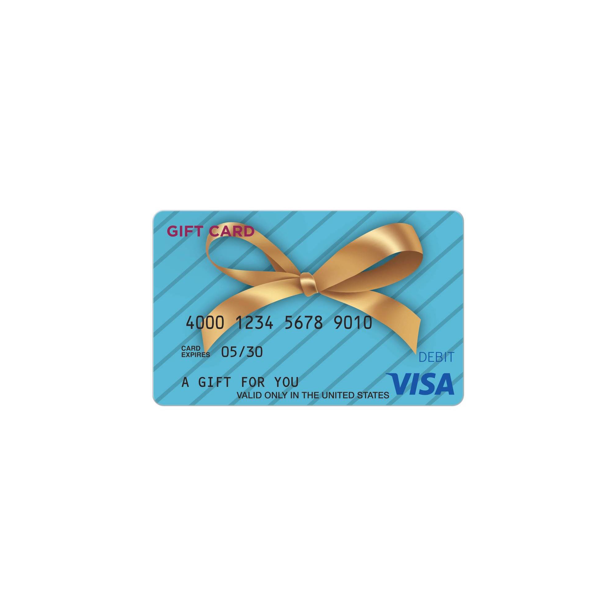 Visa e-Gift Card - $100 + $6 Fee