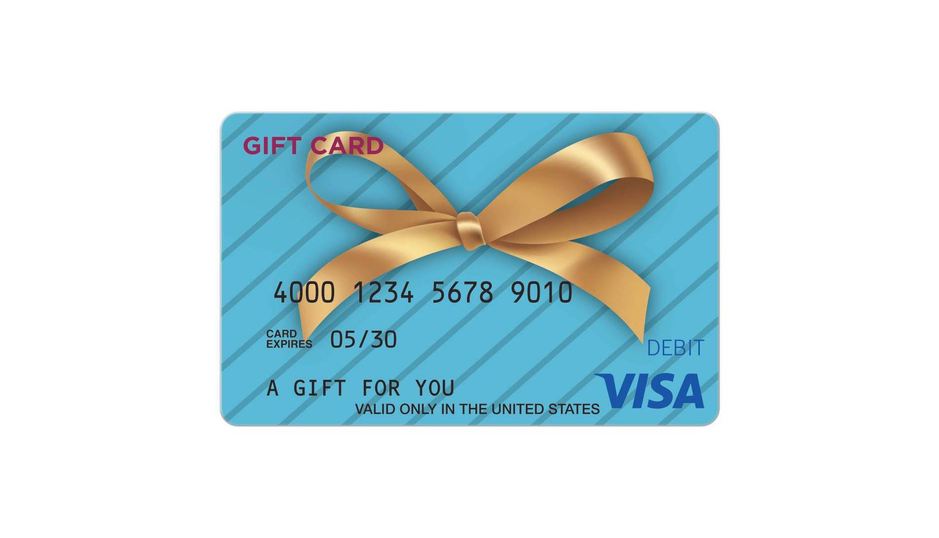 Visa e-Gift Card - $100 + $6 Fee