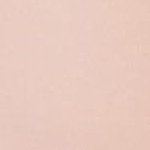 peach rose pink