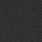 florida state seminoles athletic wordmark