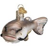 Old World Christmas Blown Glass Ornament for Christmas Tree, Catfish - 3 of 4