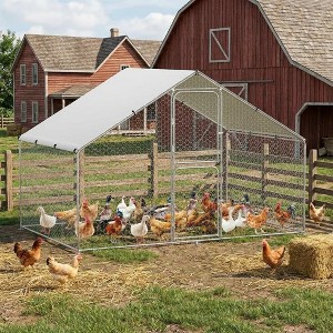 Metal Chicken Coop with Double Door, Large Chicken Run with Cover
