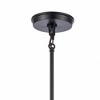 Elk Home Boyer 4 - Light Pendant in  Matte Black - 2 of 4