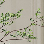 wood color