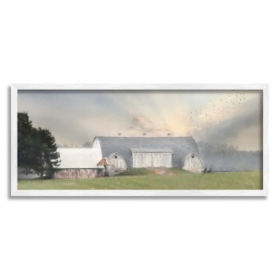 Stupell Industries Sunlit Barn Birds Flying Rural Countryside Pasture Framed Giclee Art