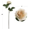 Floral Home 20" Champagne Open Rose - 48-Piece - 2 of 2